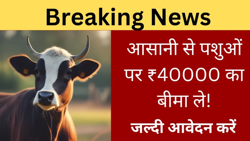 मंगला पशु बीमा योजना रजिस्ट्रेशन