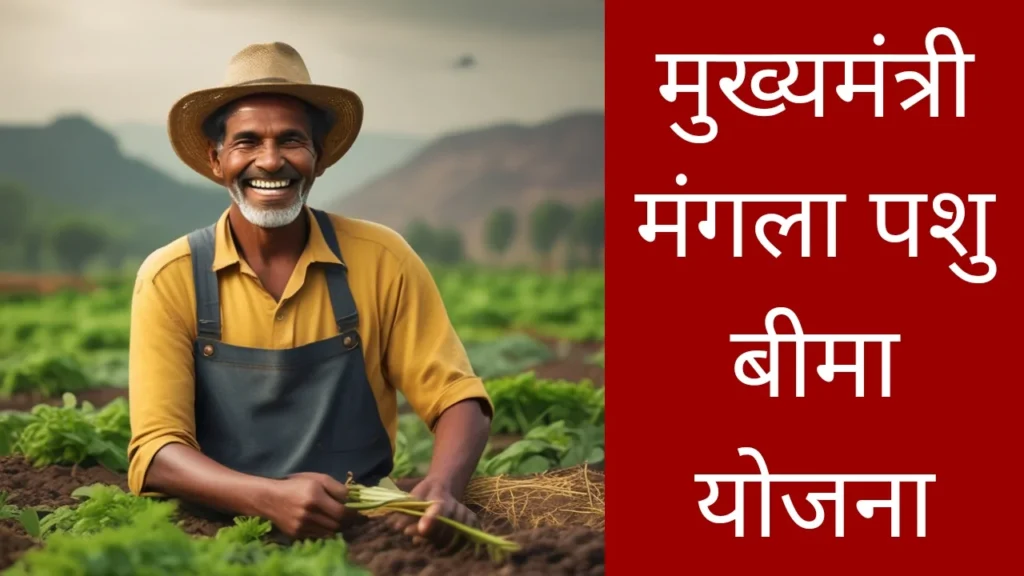 मुख्यमंत्री मंगला पशु बीमा योजना