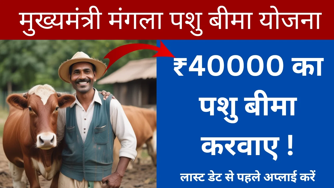 मुख्यमंत्री मंगला पशु बीमा योजना