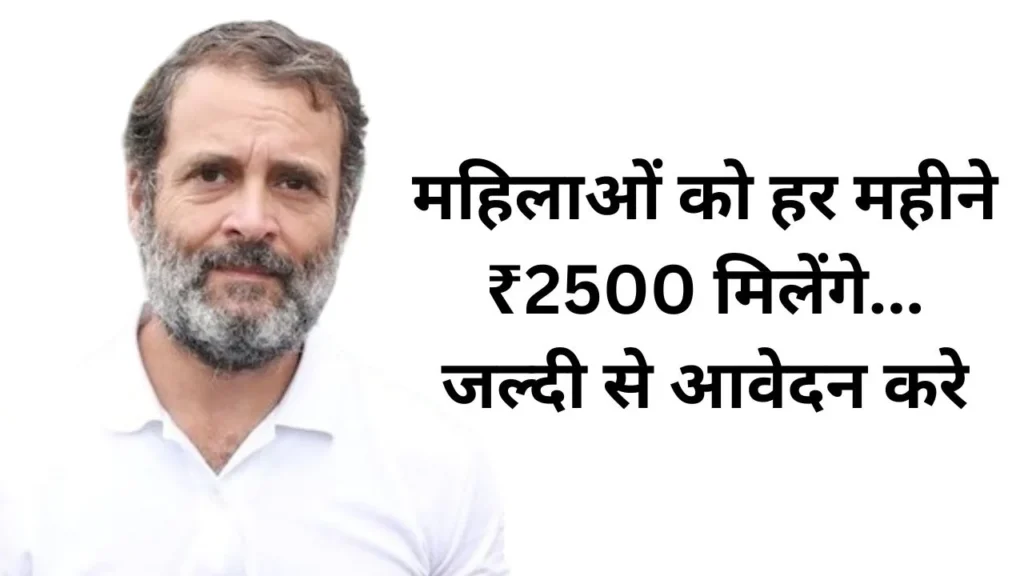 प्यारी दीदी योजना